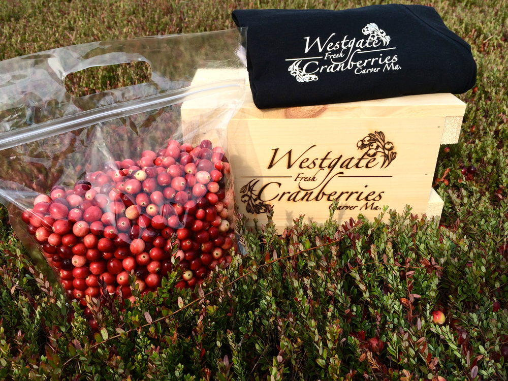 Westgate Cranberries